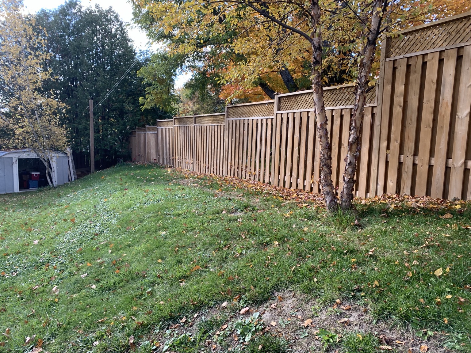 Completed long-run wood privacy fence