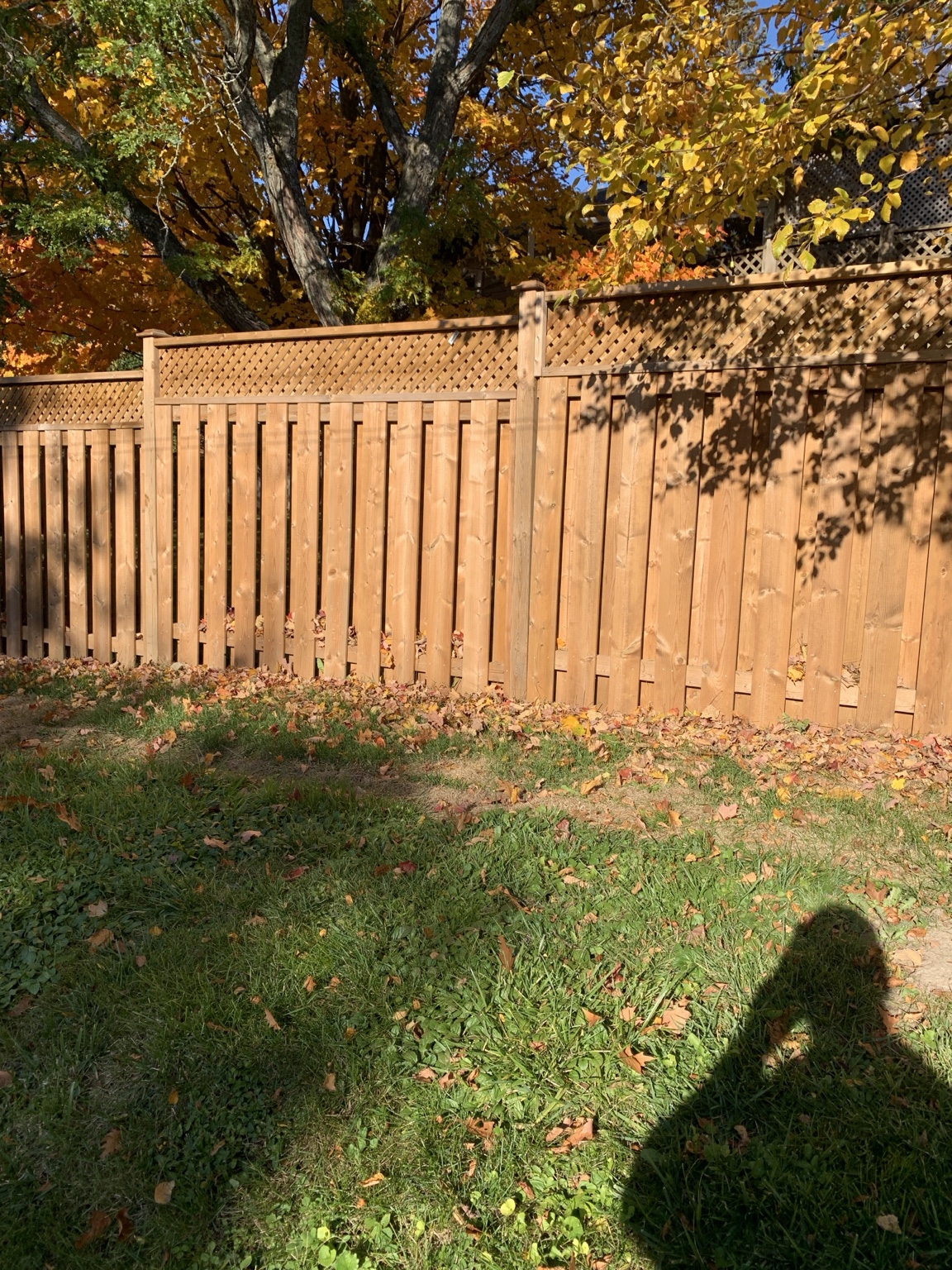 Completed wood privacy fence and posts