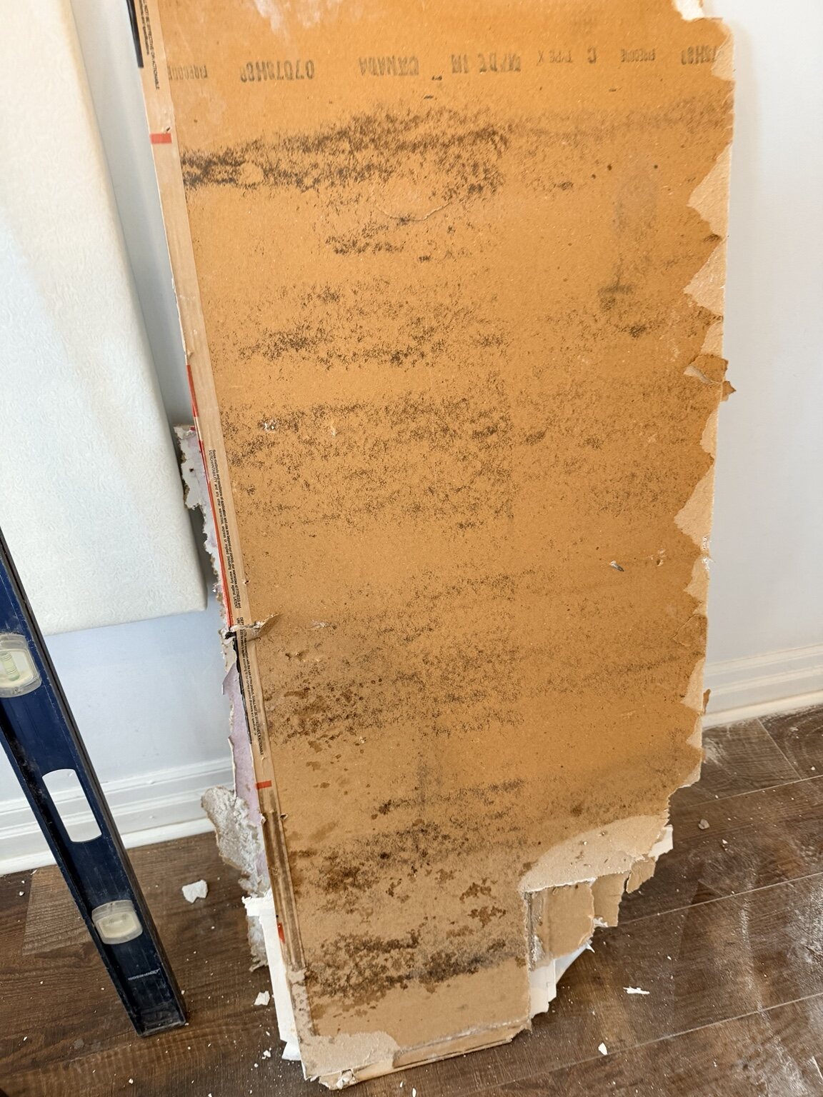 Removed salon wallboard showing the affected backing during repair work